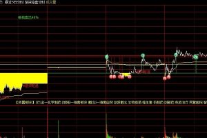 通达信游资控盘分时主图指标